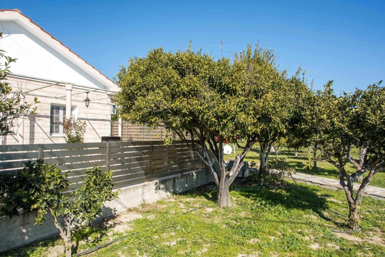Faliraki Citrus Garden Eksteriør bilde